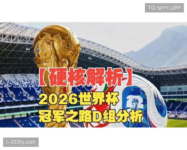 世界杯D组小组第二概率分析